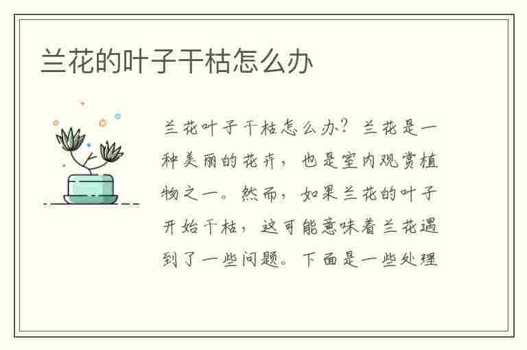 兰花的叶子干枯怎么办(兰花的叶子干枯怎么办还能养活吗)